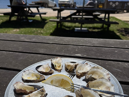 Navigate Expeditions-塔斯拉必去景点