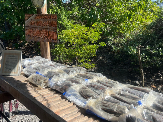 The Vanillerie-凯鲁瓦-柯纳必去景点