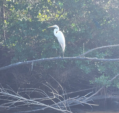 Laguna Ventanilla-Mazunte必去景点