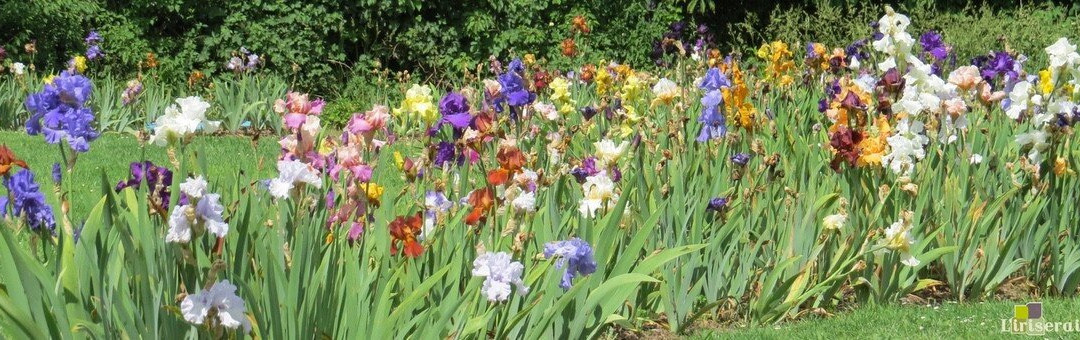 L'iriseraie-Kuttolsheim必去景点