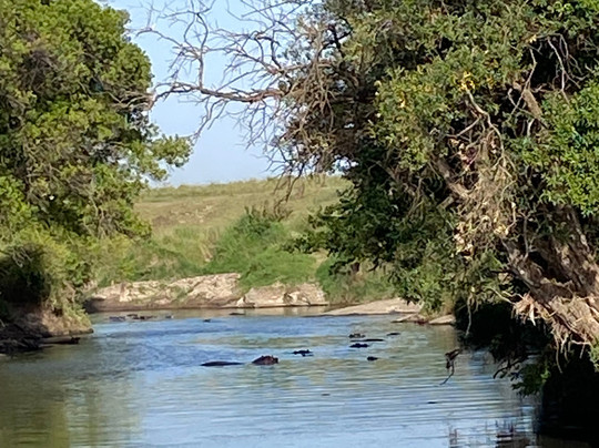 Safari Kenya Plus - Private Day Tour-马林地必去景点