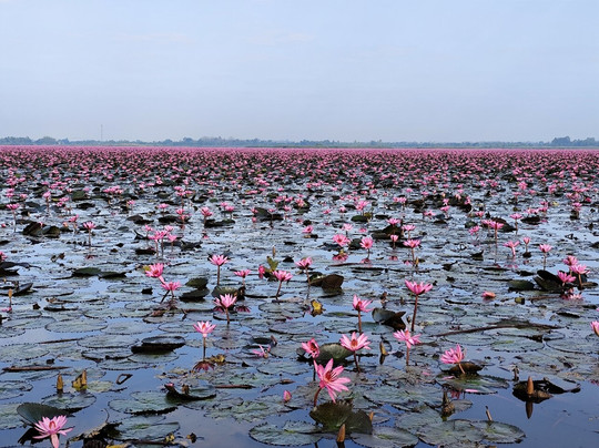 红莲湖-Chiang Haeo必去景点