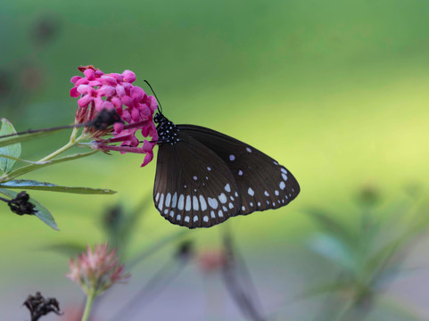The Indian Journeys-金奈（马德拉斯）必去景点