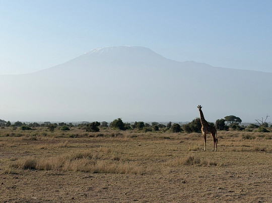 Nero Guida Turistica-瓦塔木必去景点