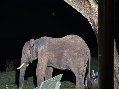 Paw Safaris-霍德斯普鲁特必去景点