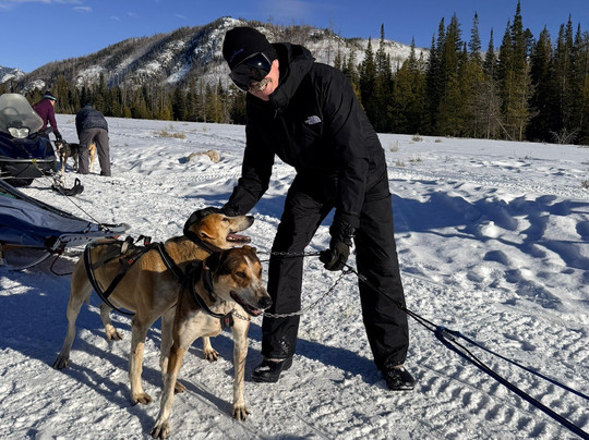 Grizzle-T Dog & Sled Works-斯廷博特斯普林斯必去景点