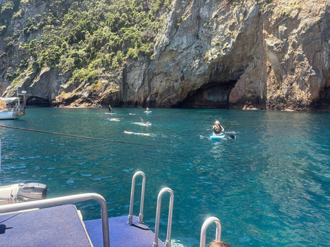 Perfect Day Ocean Cruise-Tutukaka必去景点