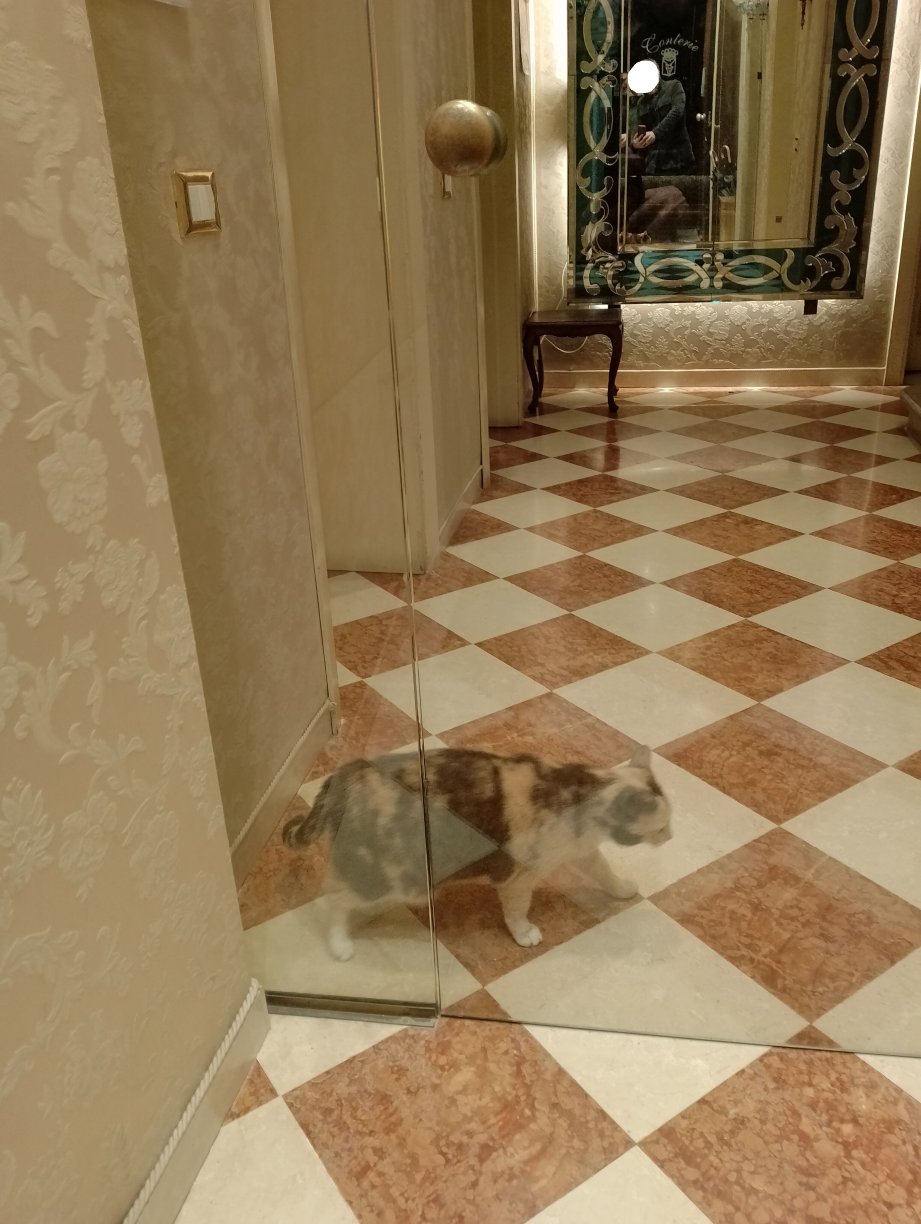 Hotel Conterie-官方