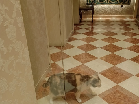 Hotel Conterie主图