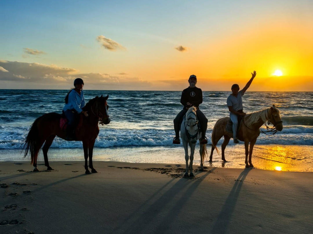 Caval' Aventure-Fortim必去景点