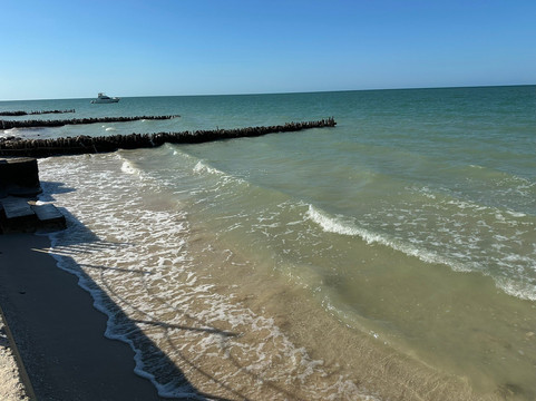 Sergio's Tours-Progreso必去景点