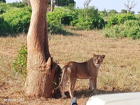Malik Safari-马林地必去景点