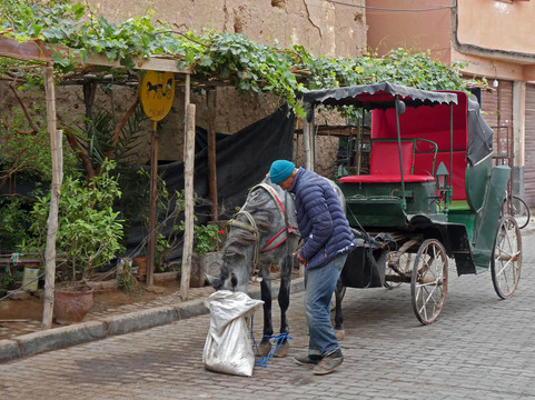 Stadtmauer Taroudant-塔鲁丹特必去景点