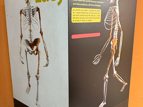 GishAbay Ethiopia Tours-亚的斯亚贝巴必去景点