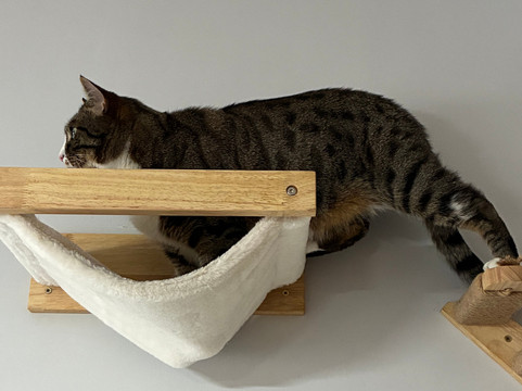 Andover Catfe-Andover必去景点