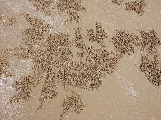 Namaste Resort主图