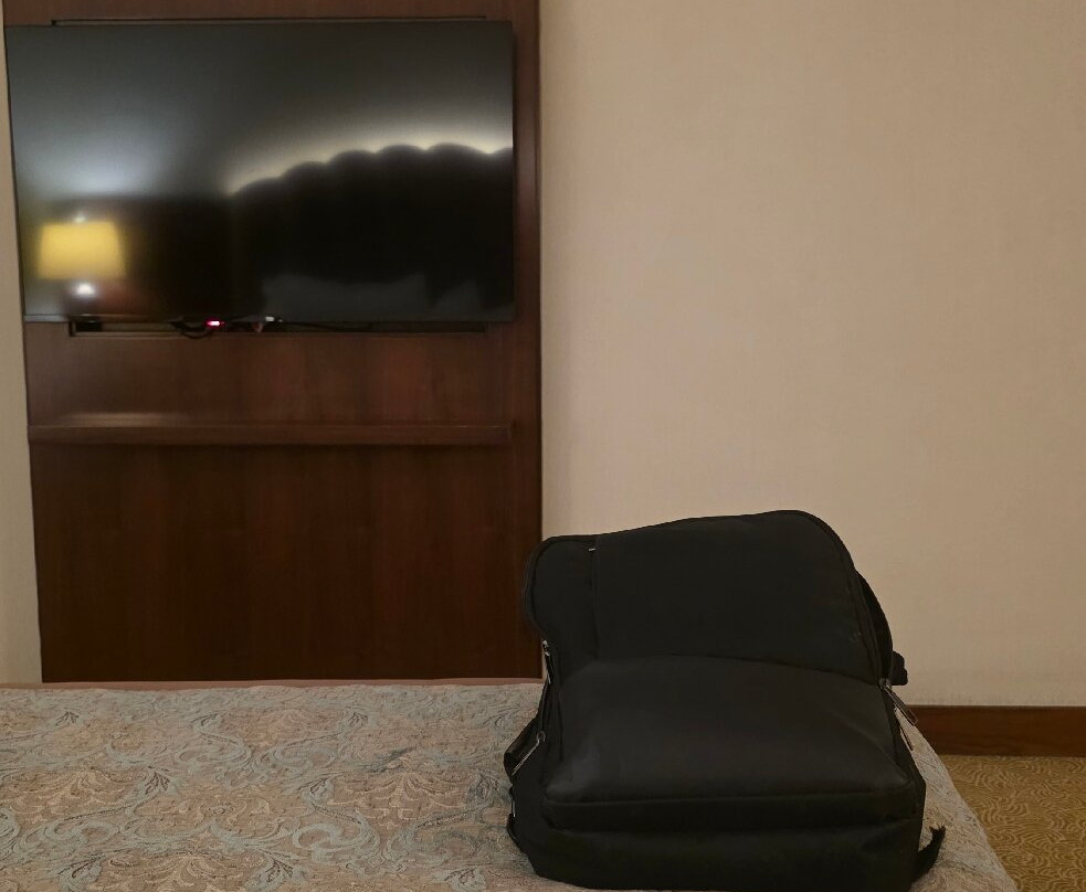 马拉提亚阿尔丁卡伊西温德姆华美达广场酒店主图