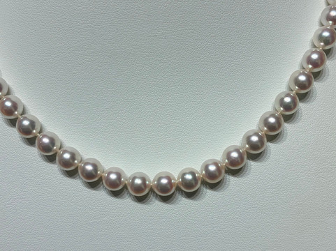 Canilli Pearl-Meguro必去景点