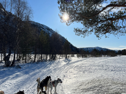 Sirdal Husky Farm-Tonstad必去景点