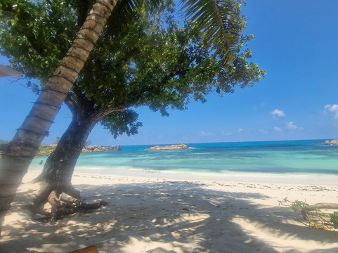 Anse Kerlan Beach-安森克兰必去景点