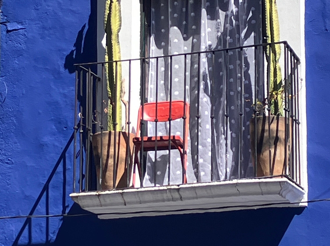 Estacion Mexico Free Tours-墨西哥城必去景点