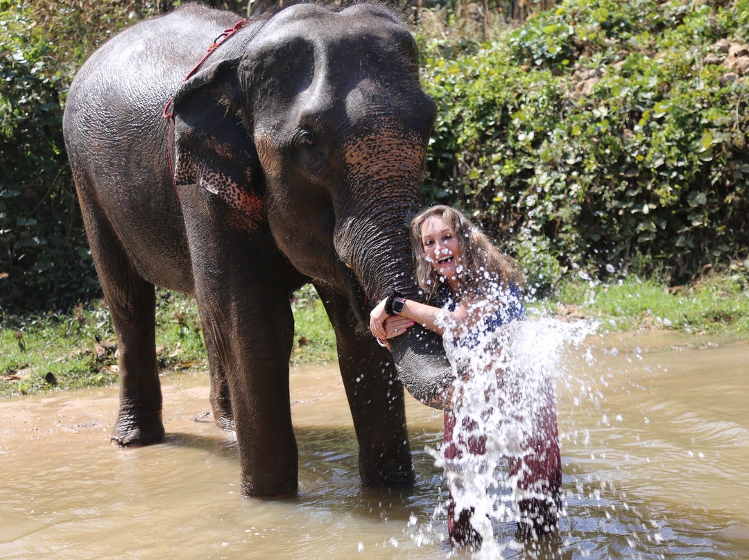 Karen Tribe Native Elephant-清迈必去景点