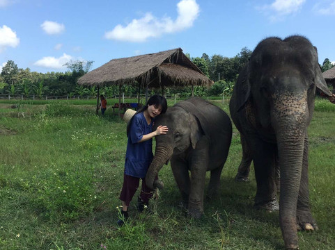 Lanna Kingdom Elephant Sanctuary-清迈必去景点