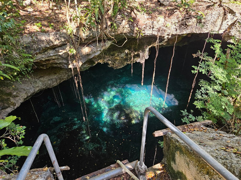 Dressel Divers - Barceló Maya Riviera-Barcelo Maya必去景点