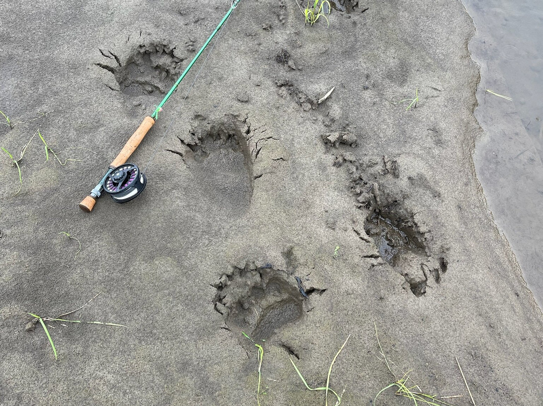 Papa Bear Adventures-Bethel必去景点