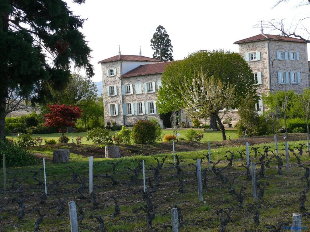 Château de Grandmont - Escale Authentique au Coeur des Vignes