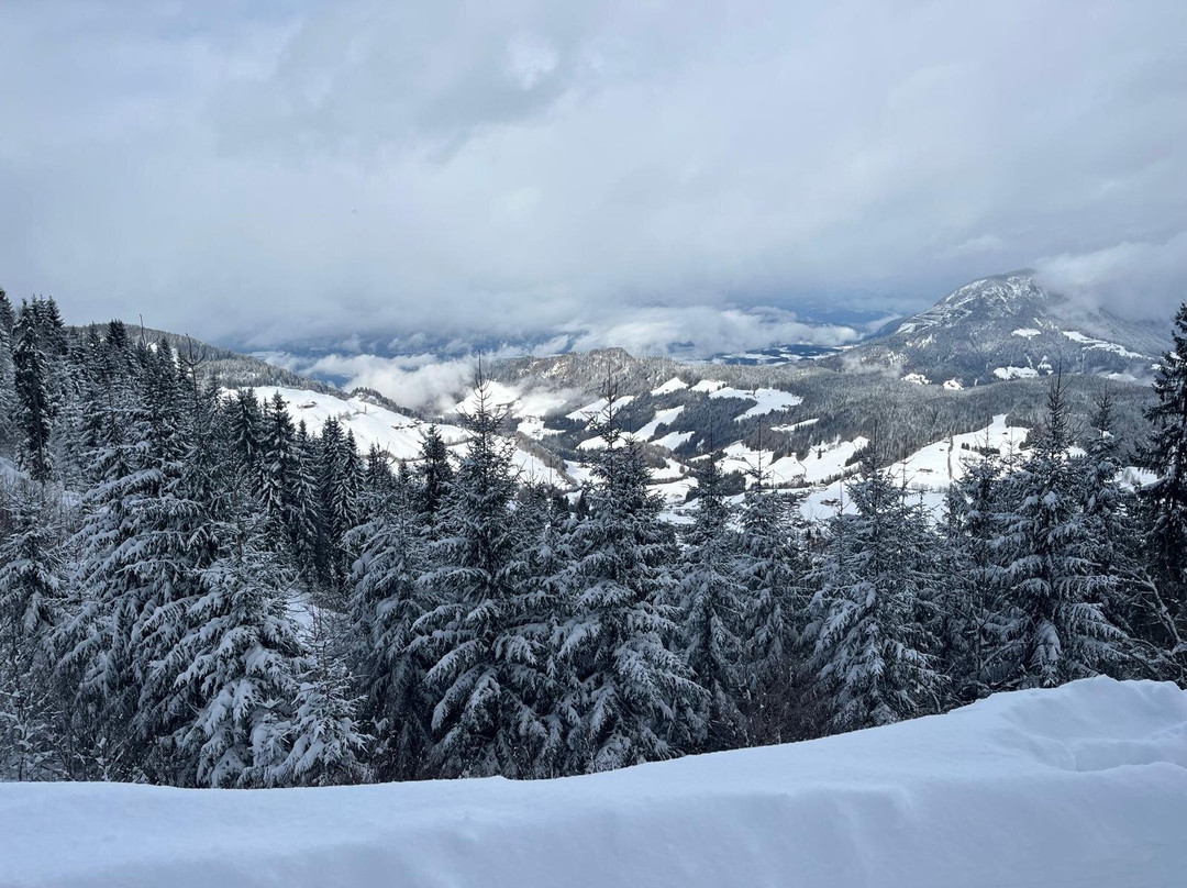 Harfenwirt