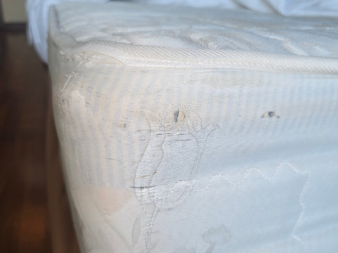 卡马蒙兰纳度假村主图