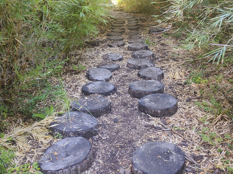 Termas De Queñi-圣马丁德洛斯安第斯必去景点