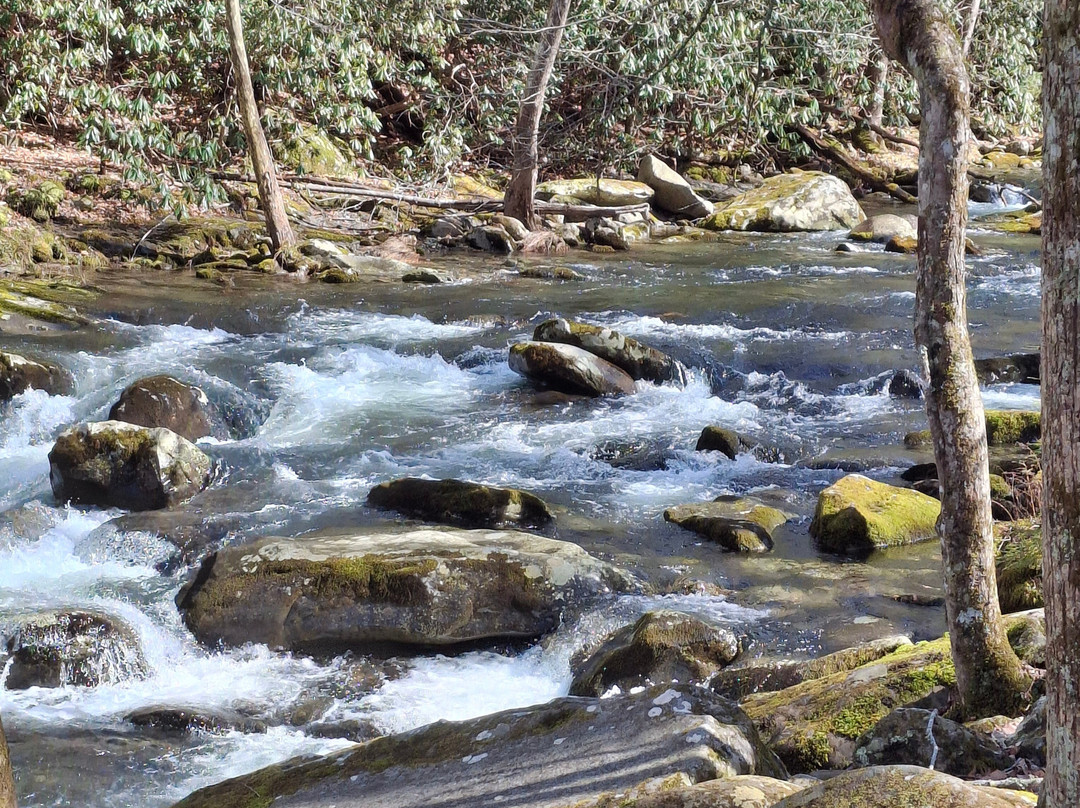 Elkmont Ghost Town-大雾山国家公园必去景点