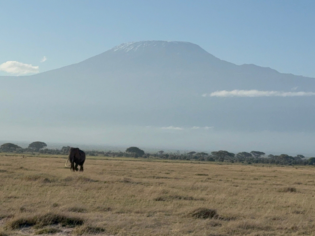 Tana Birding and Wildlife Safaris-蒙巴萨必去景点