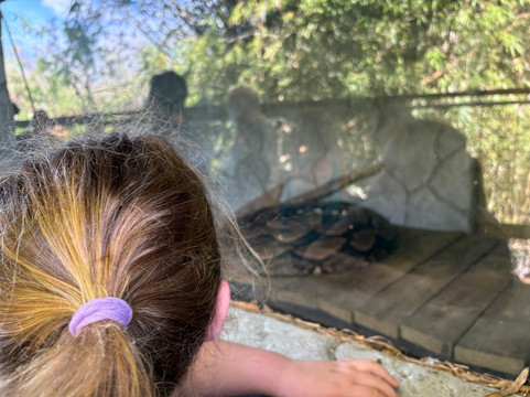 Croc Encounters-坦帕必去景点