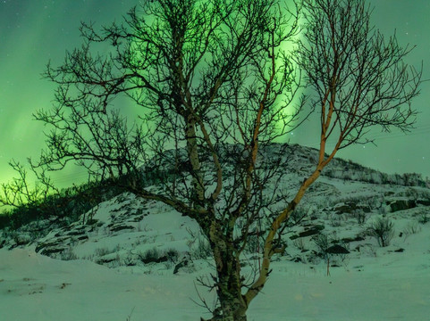 Northern Horizon-特罗姆瑟必去景点