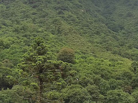Lagunas de Yala-Yala必去景点