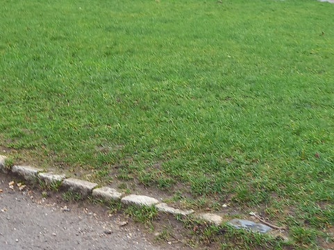 Cobstone Windmill-Turville必去景点