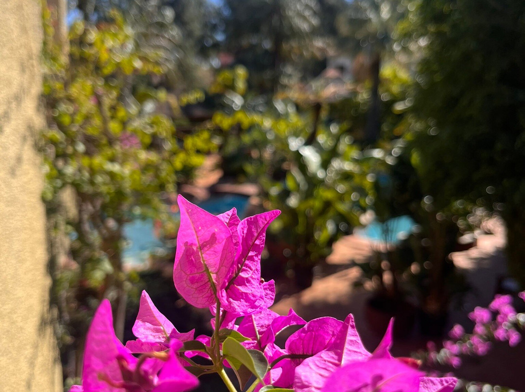 Swiss Moraira Hotel - Adults Only主图