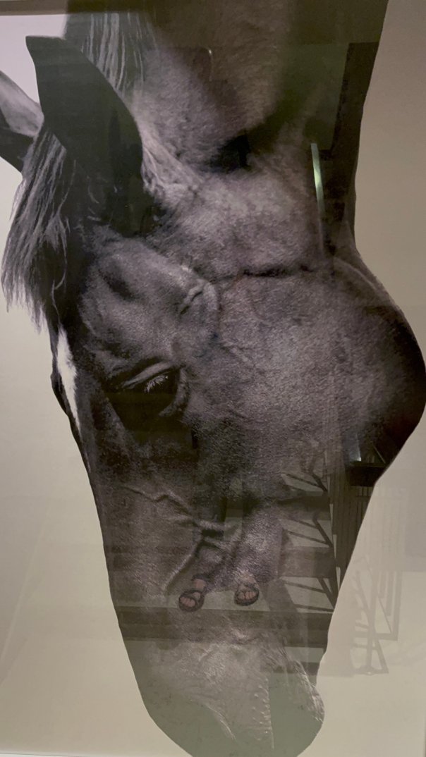 阿拉思雅精品酒店-官方