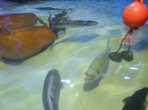 Sea Life Scarborough-斯卡伯勒必去景点