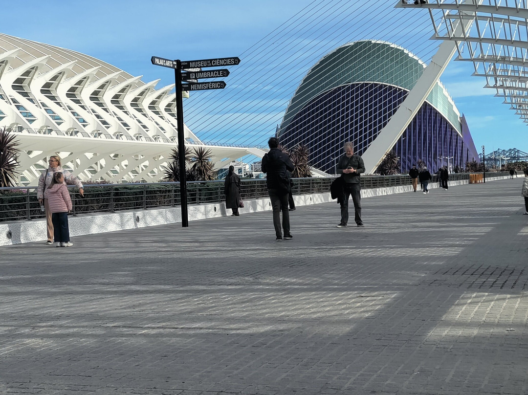 Funkadelia-巴伦西亚必去景点