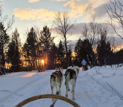 Pirate Husky-Borselv必去景点