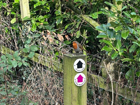 Wynyard Woodland Park-斯托克顿提斯必去景点