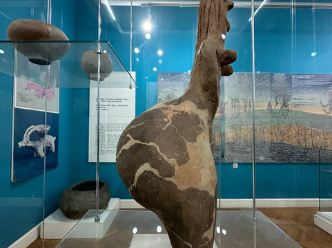 Museum of Vojvodina-诺维萨德必去景点