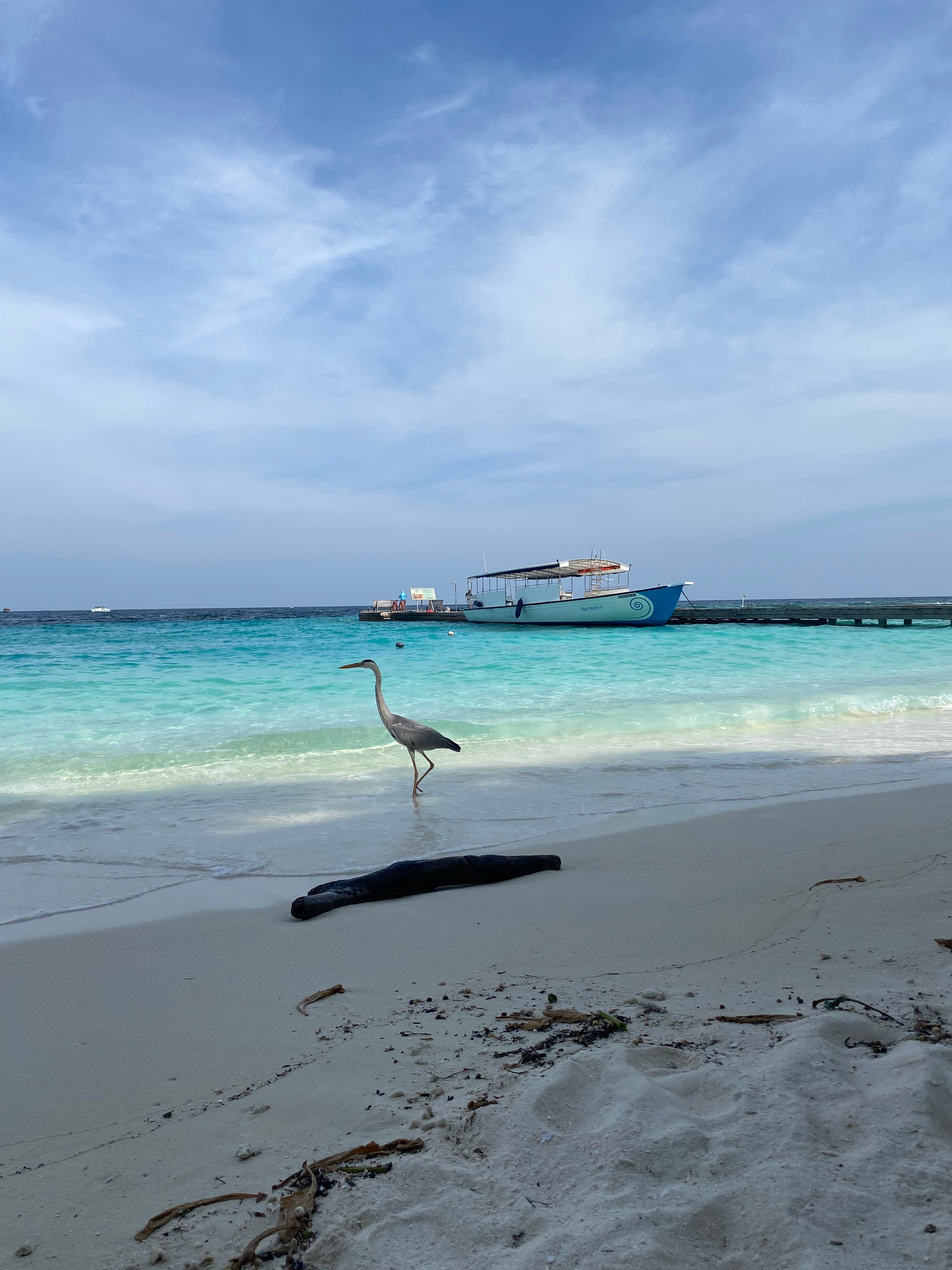 库拉玛蒂岛度假酒店-泳池