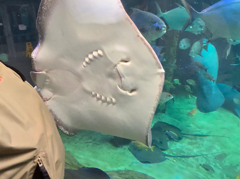 哥伦布动物园-Powell必去景点