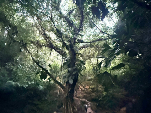 Teyuna Tours-圣玛尔塔必去景点