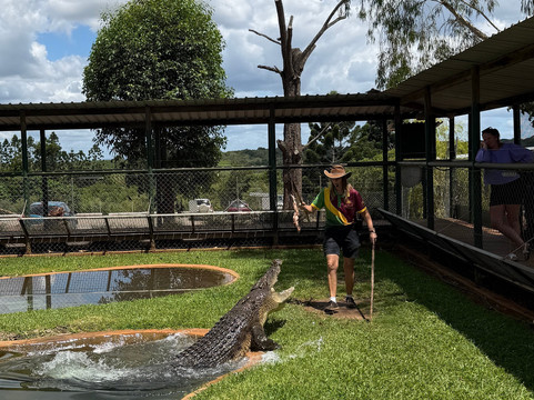 Snakes Downunder Reptile Park-Childers必去景点